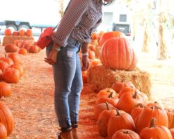 like to see it…here we go