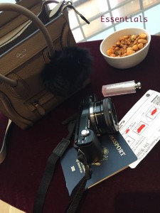 Travel essentials - Sony camera, Lip Glow, snacks