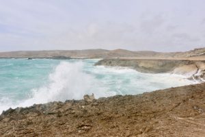 black fashion blogger