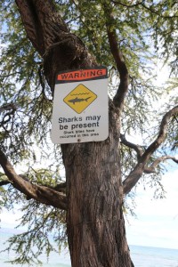 Warning! Sharks may be present.