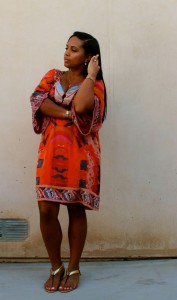 Tunics - DVF Dress, Jimmy Choo Flats, Chanel Bag